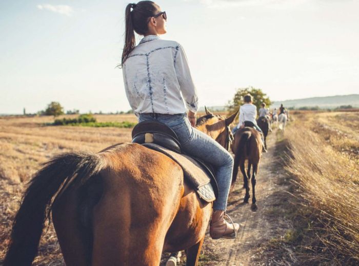 People are riding horses along a trail through a field, with the sun casting soft light over the scenery. The lead rider is looking into the distance.